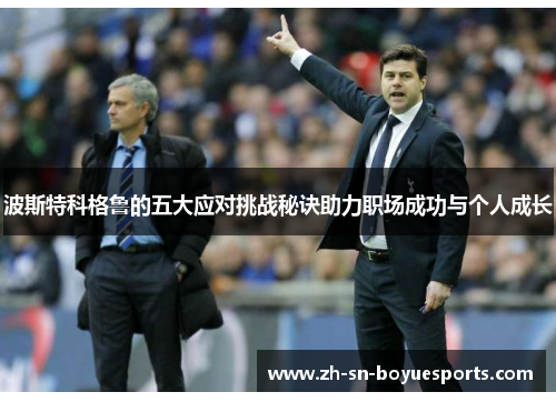 波斯特科格鲁的五大应对挑战秘诀助力职场成功与个人成长