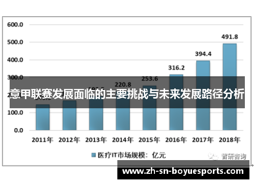 意甲联赛发展面临的主要挑战与未来发展路径分析